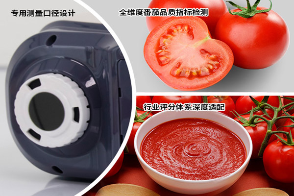 YS4582番茄酱测色仪