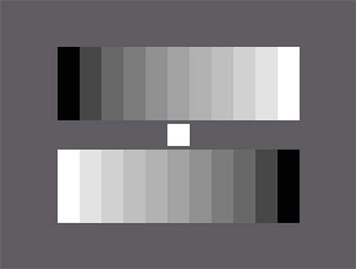 灰度测试卡(Gamma = 1)电子摄像机色调再现性评估